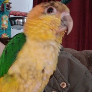 Meet your Posher, Alan